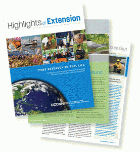 Highlights spreads