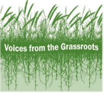 voices from the grassroots logo