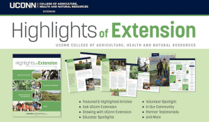 Highlights of Extension 2020
